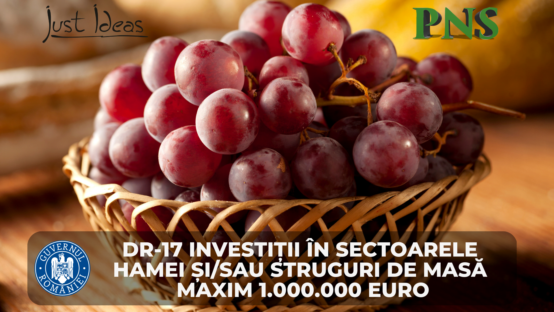 DR 17 Investitii in sectorul hamei si struguri