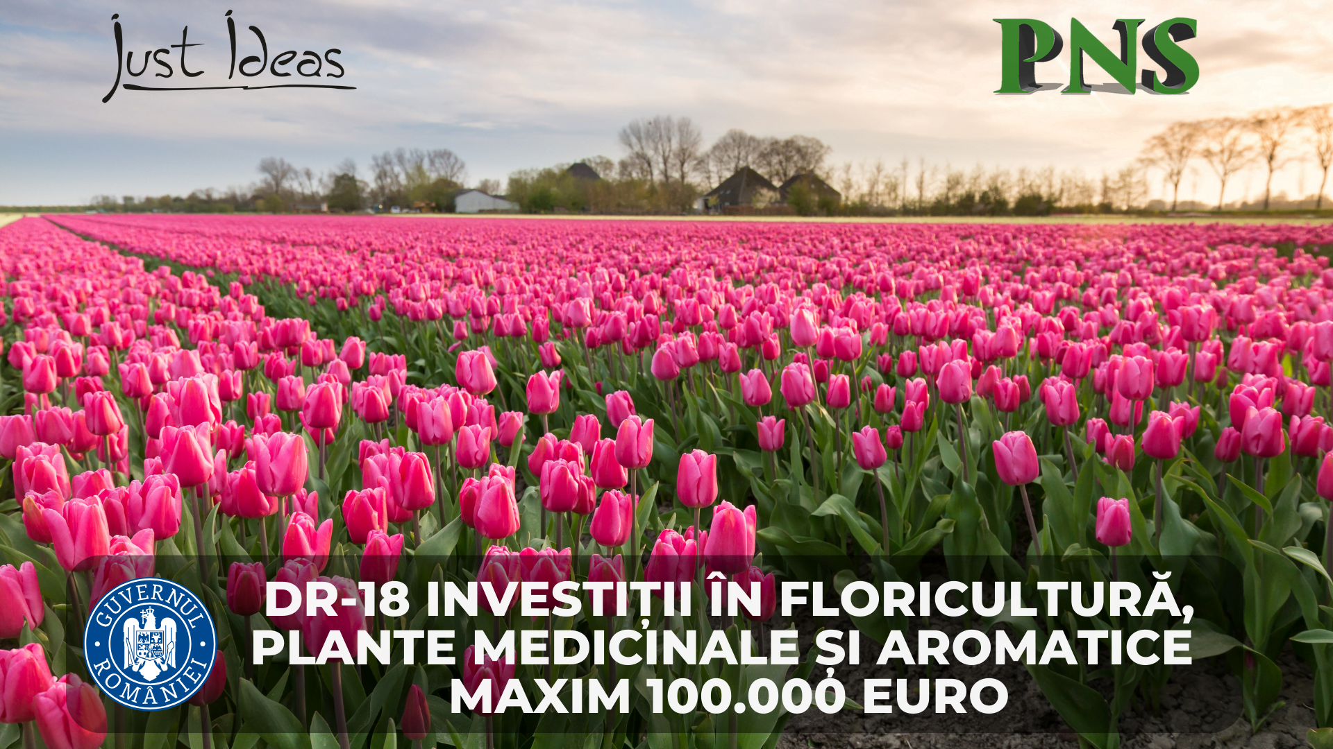 DR-18 - Investiții în floricultură, plante medicinale și aromatice