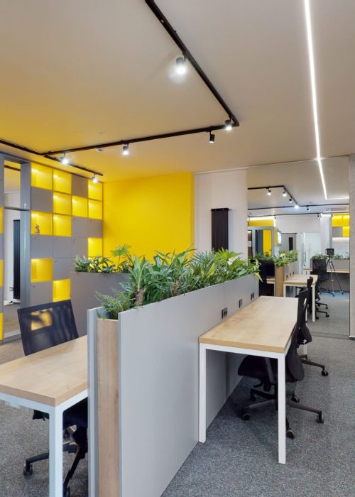 HubIT-Coworking-Space-Timpuri-Noi-07282023_223221